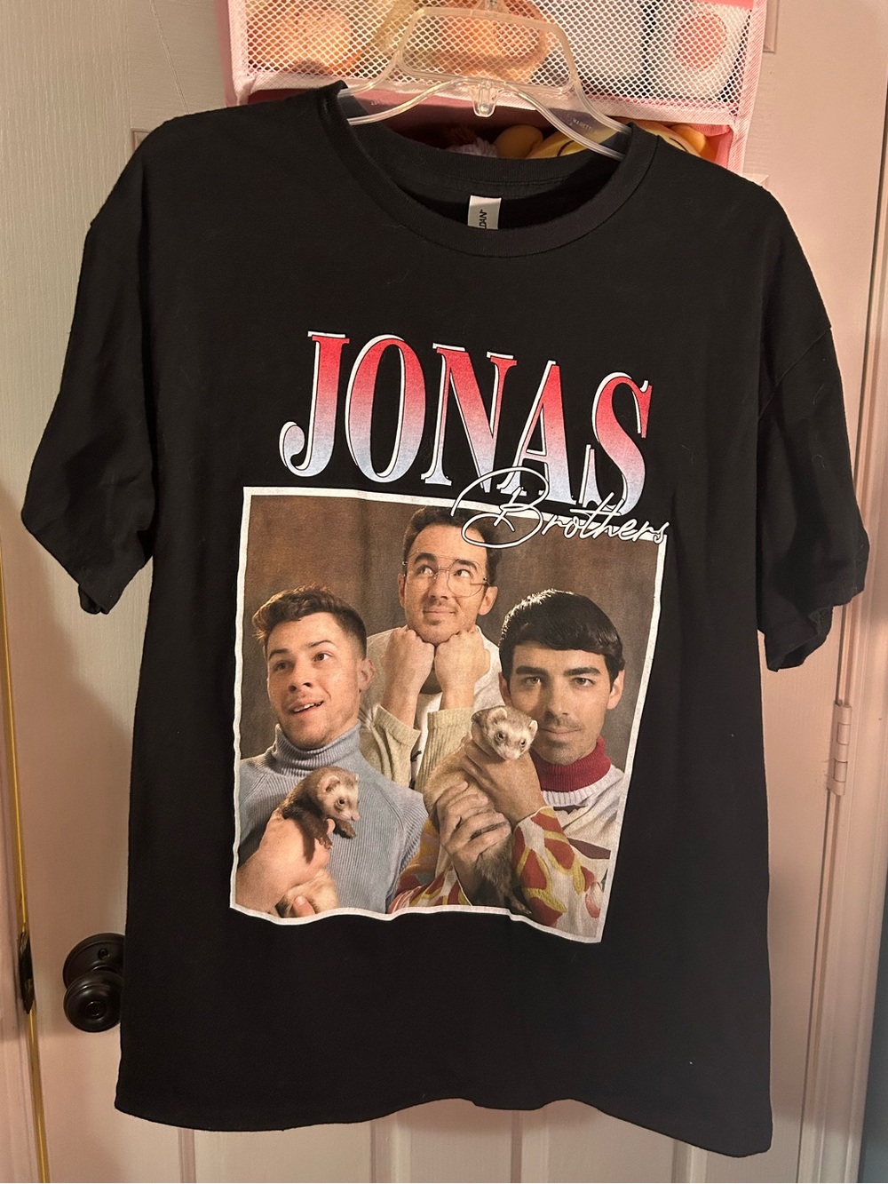 JONAS BROTHERS FERRET GRAPHIC TEE